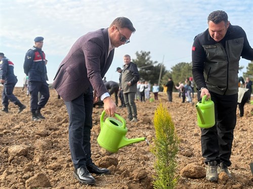 🌲11 Kasım Millî Ağaçlandırma Günümüz Kutlu Olsun🌲